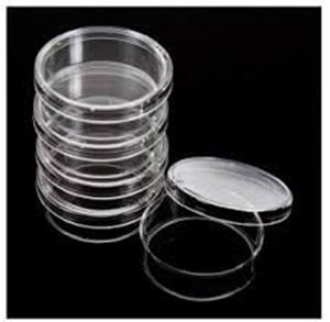 Picture of Petri Dish 60mm  705001