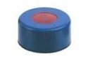 Picture of 11mm Blue Seal, PTFE/Natural Red Rubber Lined