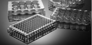 Picture of 6 Well Cell Culture Plate. 703001