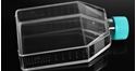 Picture of 25cm2 Cell Culture Flask. 707001