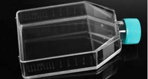 Picture of 25cm2 Cell Culture Flask, NT, vent 707013