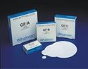 Picture of GF/D grade  Filter 15CM 1823-150