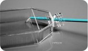 Picture of Cell scraper handle 710011