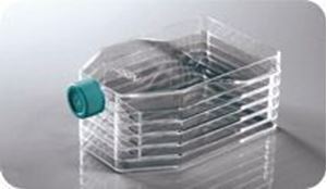 Picture of 5-Layer Cell Culture Flask Vent Cap 731002