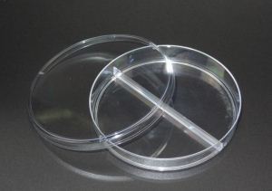 Picture of Petri Dish 90mm2 Compartments 752011
