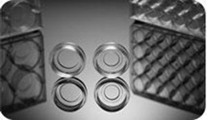 Picture of 6 Well Glass Bottom Cell Culture Plate 801004