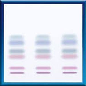 Picture of TLC-plates SILGUR-25-C UV254, 20x20 810123