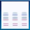 Picture of ALUGRAM Xtra SILGUR, 10x20 818412
