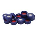 Picture of Chromatography Blue Open Hole Cap w/PTFE Sil MSVC9SPB