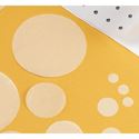 Picture of PCTE Membrane 10um 47mm K99CP04700