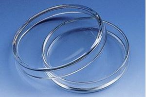 Picture of Glass Petri Dishes 100 x 22mm 1177-C 