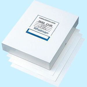 Picture of Chromatography Paper MS 1 46x57mm