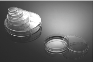 Picture of 100mm Cell Culture Dish TC 704201
