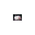 Picture of Convenience Pack - P/N 32008E-1232A and 804060-08