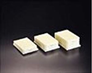 Picture of 0.5mL MTP System  ABS Plate with PTFE/Silicone/PTFE Liner, Cover & Glass 9x17mm Flat Bottom Vials