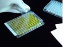 Picture of SealPlate Sealing Films for ELISA and General Incubation, Polyester, 50µm Thick, Non-Pierceable, Non-Sterile