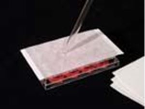 Picture of AeraSeal Breathable Sealing Film for Biological Cultures, Rayon, 140µm Thick, Pierceable, Non-Sterile