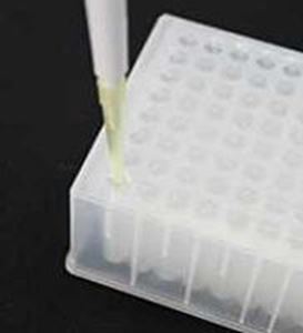 Picture of RAPID Slit PET Silicone Adhesive Sealing Film Pre-Slit for Automation, SPE, HPLC, LC/MS and ADME