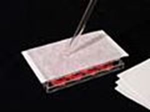 Picture of 4” Soft Rubber Plate Roller