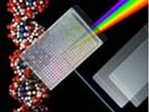 Picture of ThermalSeal RT Sealing Films for Real-Time/qPCR, Polyester, 50µm Thick, Optically Clear, Non-Sterile