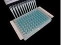 Picture of X-Pierce Sealing Films for Robotics & High-Throughput Processing, Vinyl, 89µm Thick, Pre-Cut, Pierceable