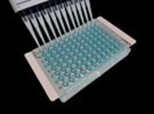 Picture of X-Pierce Sealing Films for Robotics & High-Throughput Processing, Vinyl, 89µm Thick, Pre-Cut, Pierceable