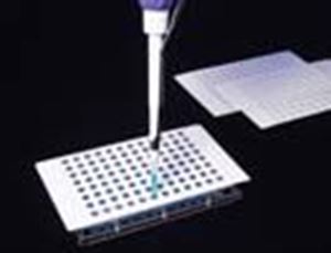 Picture of Adhesive Free-Zone Sealing Film for Robotics & High-Throughput Processing, Polyethylene, 70µm Thick, Pierceable