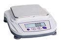 Picture of XS BALANCE mod. BL 2002 BASIC 27000303