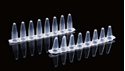 Picture of 0.1ml PCR 8-strip Tubes, clear 403102