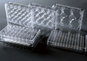 Picture of 24 Well Cell Culture Plate, TC 702001
