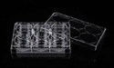 Picture of 24 Well Glass Bottom Plate 801006