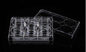 Picture of 24 Well Glass Bottom Plate 801006