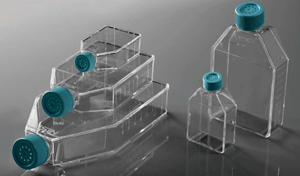 Picture of 25cm2 Cell Culture Flask TC 707003 per box/200