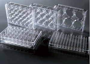 Picture of 96 Well Cell Culture Plate TC 701201 pack/100