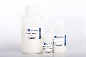 Picture of WorkBeads affimAb 1L