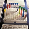 Picture of TEST TUBE TRAYS Expanded PS 250 place KAR1175