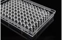 Picture of 96 Well Cell Culture Plate Non-Treated U-bottom  701111 per box/100